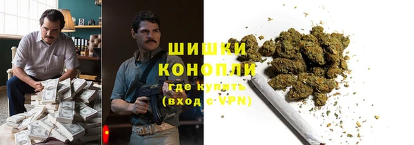 ПСИЛОЦИБИНОВЫЕ ГРИБЫ Балабаново