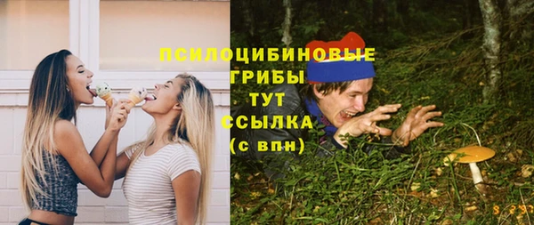 ПСИЛОЦИБИНОВЫЕ ГРИБЫ Балабаново