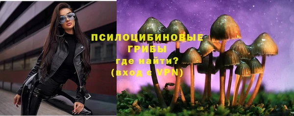 дурь Рославль