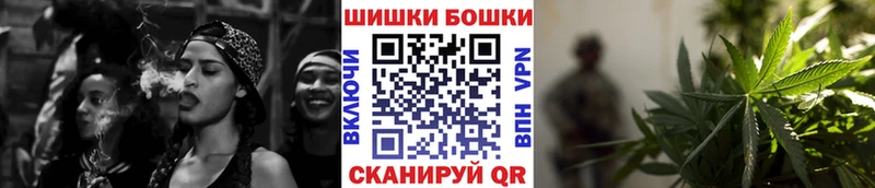 закладки  Балтийск  Бошки марихуана сатива 